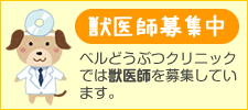 獣医師募集中